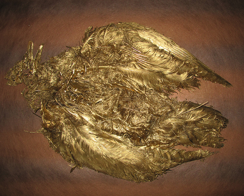 Colosi - The Golden Goose