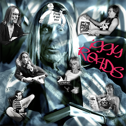 Iggy Reads - Napping Wizard Sessions